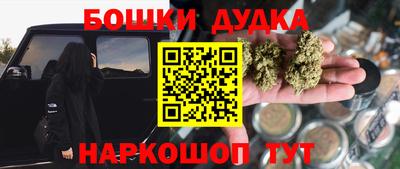 шишки Тверь