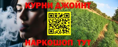 шишки Тверь