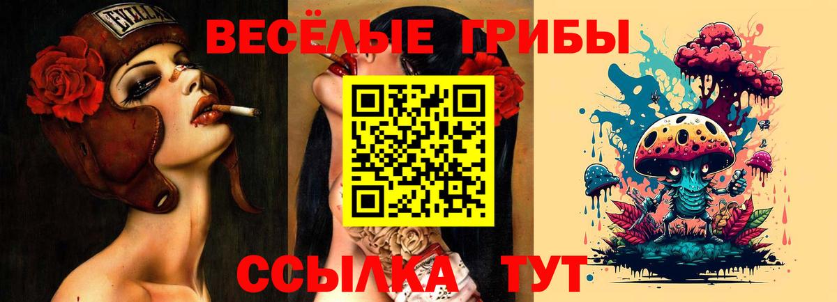 Лыткарино  Псилоцибиновые грибы ЛСД  Псилоцибиновые грибы прущие грибы  Вход с VPN 