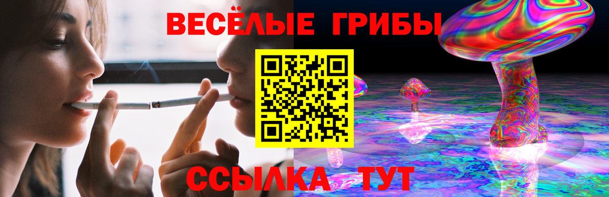 Псилоцибиновые грибы MAGIC MUSHROOMS Лыткарино